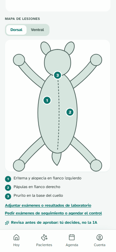 Mapa corporal de un perro con tres hallazgos de piel marcados y numerados