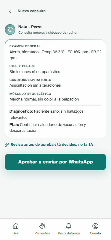 Ficha clínica revisada antes de aprobar